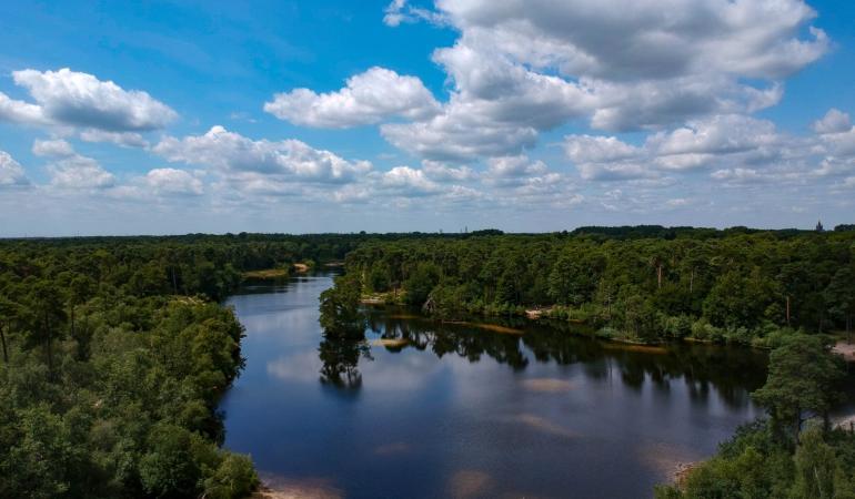 Landschap met meer en bomen