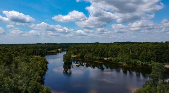 Landschap met meer en bomen